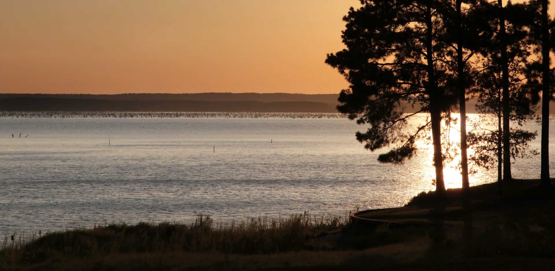 toledo bend lake at sunset