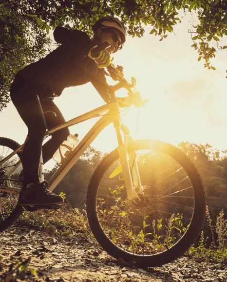 cbr nature trails cypress bend resort activities